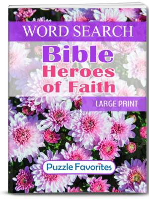 Bible Heroes of Faith Word Search Book