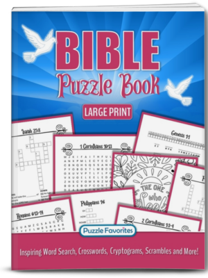 bible puzzle book