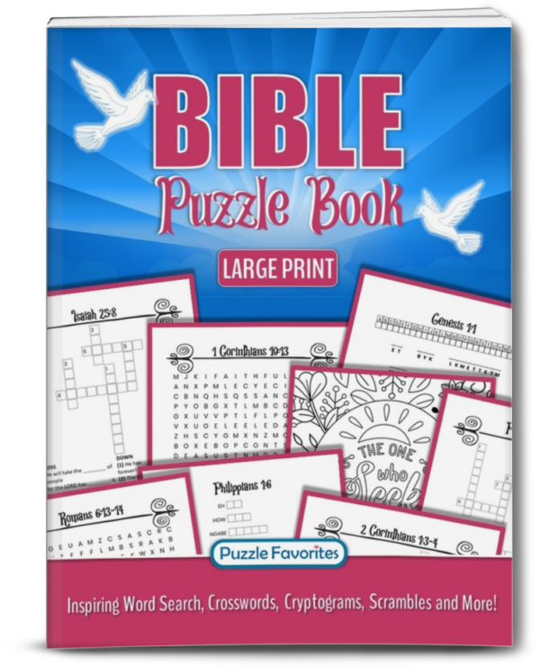 bible puzzle book